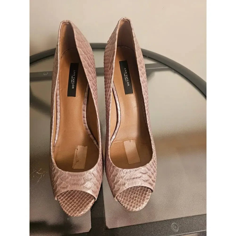 Ann Taylor 